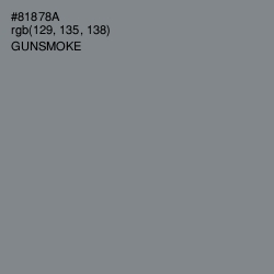 #81878A - Gunsmoke Color Image