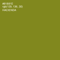 #81881E - Hacienda Color Image