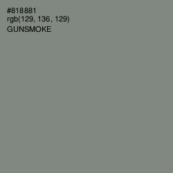 #818881 - Gunsmoke Color Image