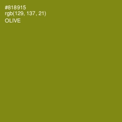 #818915 - Olive Color Image