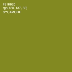 #818920 - Sycamore Color Image