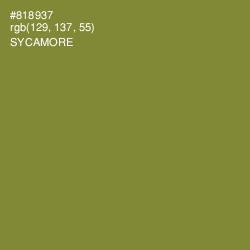 #818937 - Sycamore Color Image