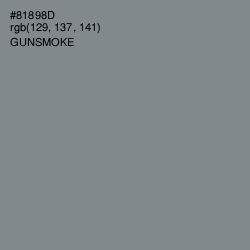 #81898D - Gunsmoke Color Image