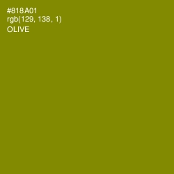 #818A01 - Olive Color Image