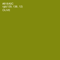 #818A0C - Olive Color Image