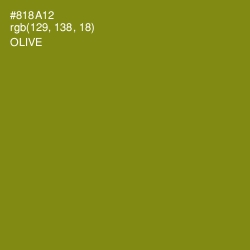 #818A12 - Olive Color Image