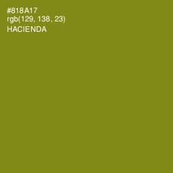 #818A17 - Hacienda Color Image