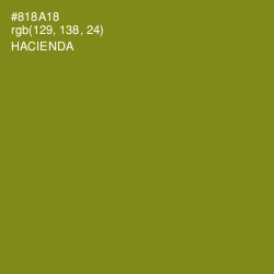 #818A18 - Hacienda Color Image