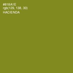 #818A1E - Hacienda Color Image