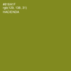 #818A1F - Hacienda Color Image