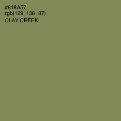 #818A57 - Clay Creek Color Image