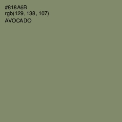 #818A6B - Avocado Color Image