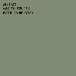 #818A73 - Battleship Gray Color Image