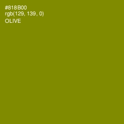 #818B00 - Olive Color Image