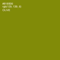 #818B06 - Olive Color Image