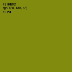 #818B0D - Olive Color Image