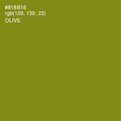 #818B16 - Olive Color Image