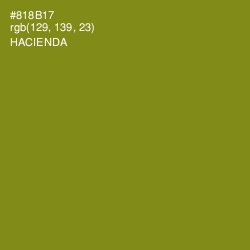 #818B17 - Hacienda Color Image