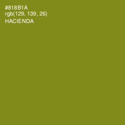 #818B1A - Hacienda Color Image