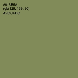 #818B5A - Avocado Color Image