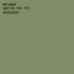 #818B65 - Avocado Color Image