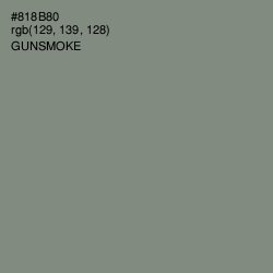 #818B80 - Gunsmoke Color Image