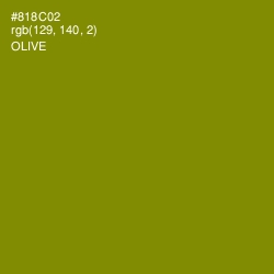 #818C02 - Olive Color Image