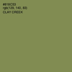 #818C53 - Clay Creek Color Image
