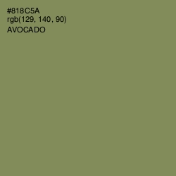 #818C5A - Avocado Color Image