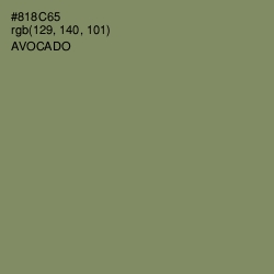 #818C65 - Avocado Color Image