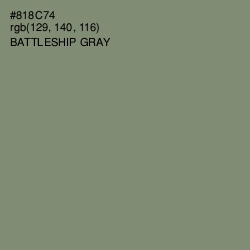 #818C74 - Battleship Gray Color Image