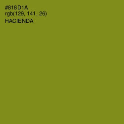 #818D1A - Hacienda Color Image