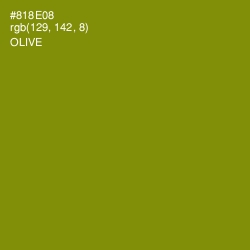 #818E08 - Olive Color Image