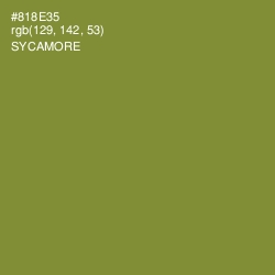 #818E35 - Sycamore Color Image