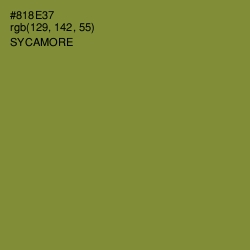 #818E37 - Sycamore Color Image