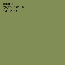 #818E56 - Avocado Color Image