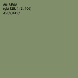 #818E6A - Avocado Color Image