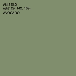 #818E6D - Avocado Color Image