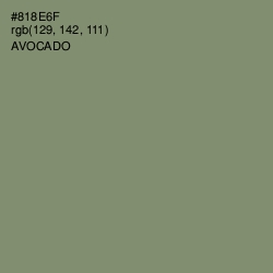 #818E6F - Avocado Color Image