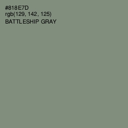 #818E7D - Battleship Gray Color Image