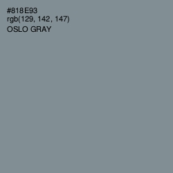 #818E93 - Oslo Gray Color Image