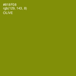 #818F08 - Olive Color Image