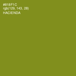 #818F1C - Hacienda Color Image