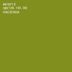 #818F1E - Hacienda Color Image