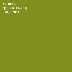 #818F1F - Hacienda Color Image