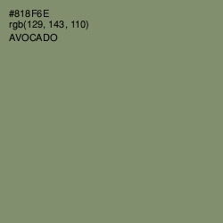#818F6E - Avocado Color Image