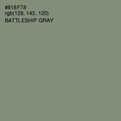 #818F78 - Battleship Gray Color Image