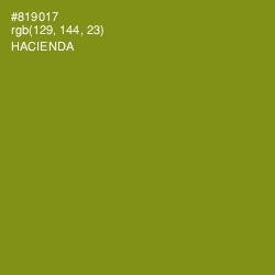 #819017 - Hacienda Color Image