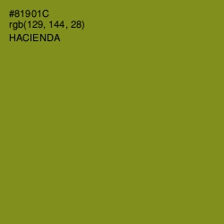 #81901C - Hacienda Color Image