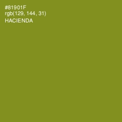 #81901F - Hacienda Color Image